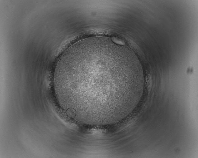 X0000112020255200908031404