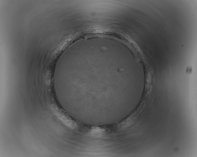 X0000112020257200908031404