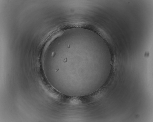 X0000112020258200908031404