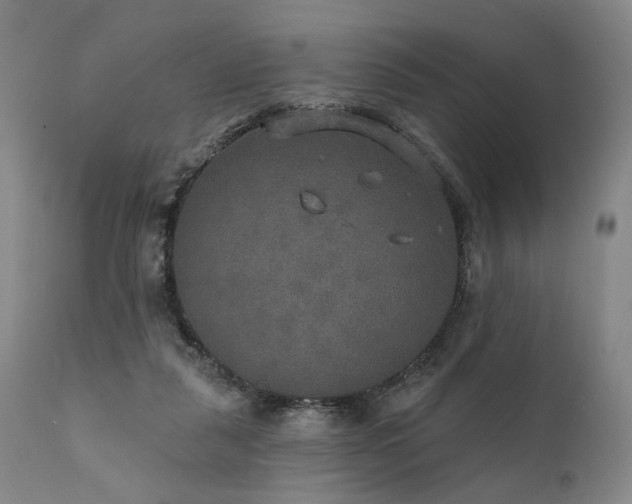 X0000112020259200908031404