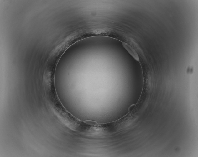 X0000112020260200908031404