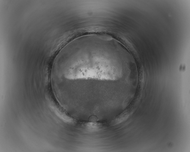 X0000112020261200908031404