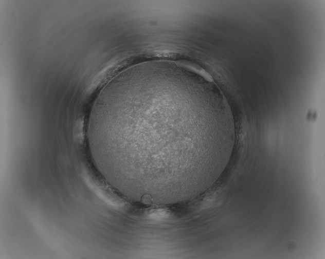 X0000112020262200908031404