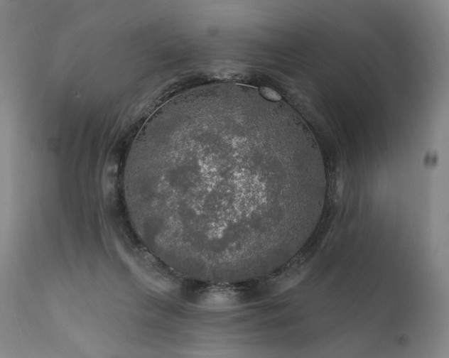 X0000112020263200908031404