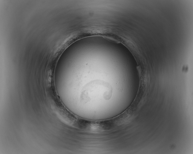 X0000112020264200908031404