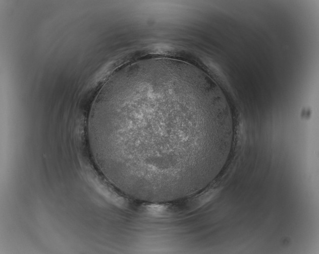 X0000112020265200908031404