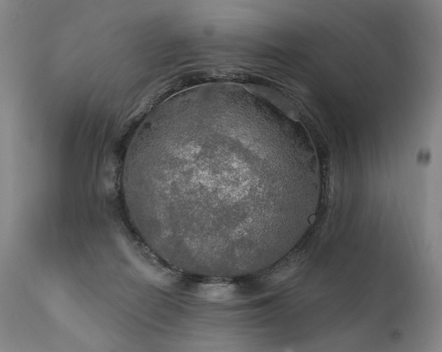 X0000112020266200908031404