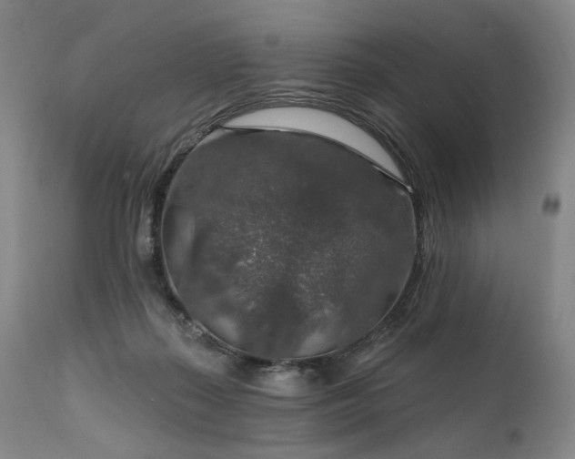 X0000112020267200908031404