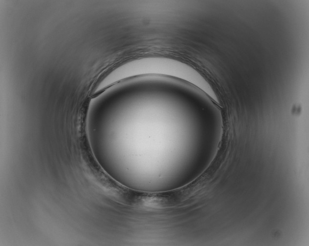 X0000112020268200908031404