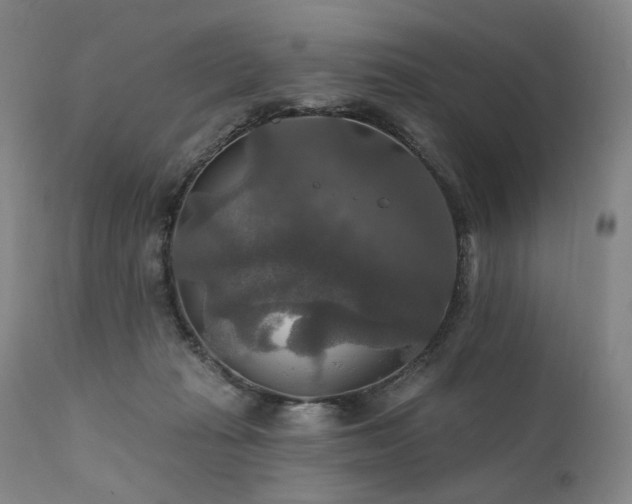 X0000112020269200908031404