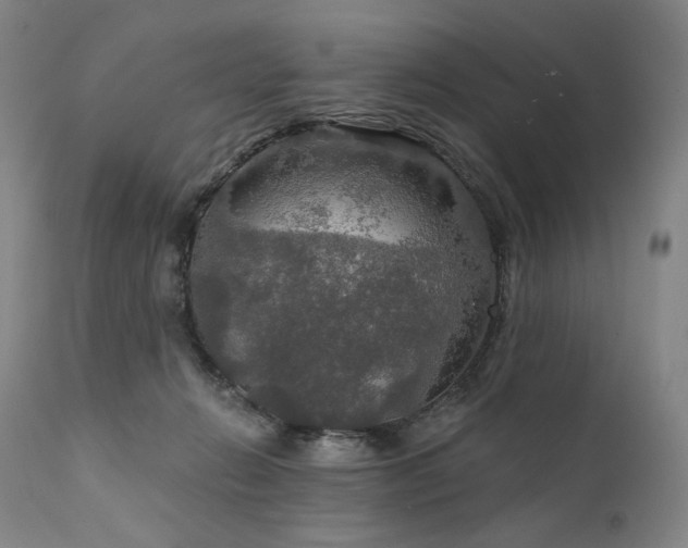 X0000112020270200908031404