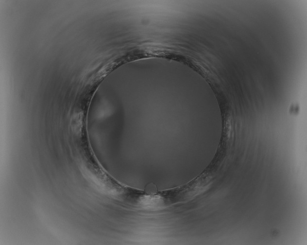 X0000112020271200908031404