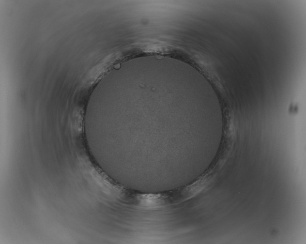 X0000112020273200908031404