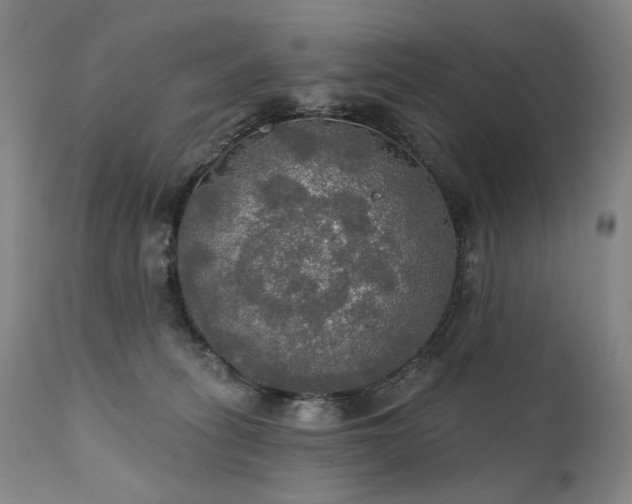 X0000112020275200908031404