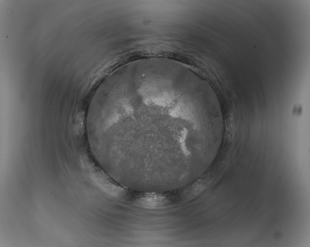 X0000112020278200908031405