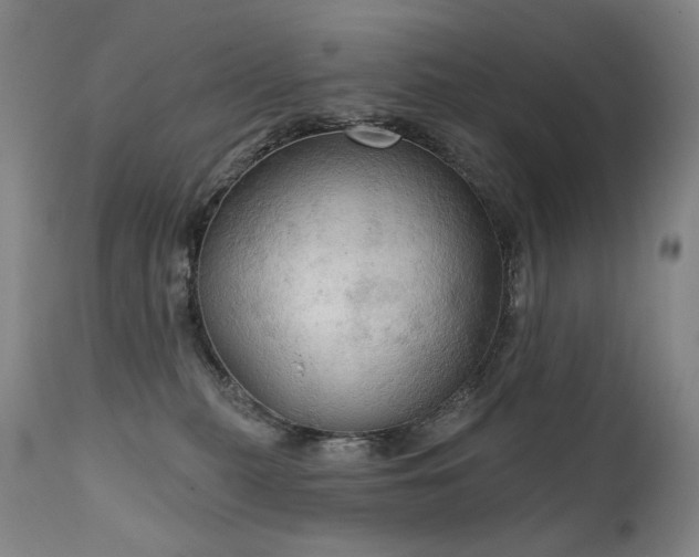 X0000112020279200908031405