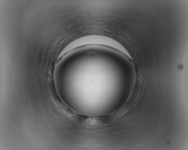 X0000112020280200908031405