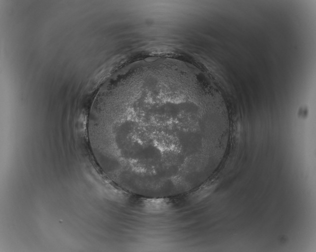 X0000112020281200908031405