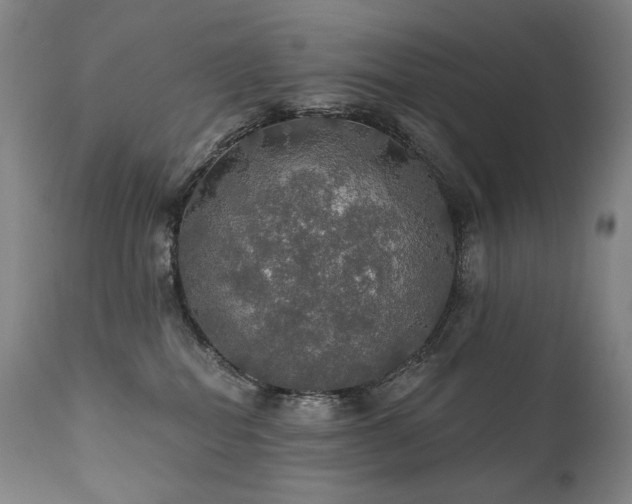 X0000112020282200908031405