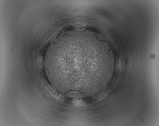 X0000112020283200908031405