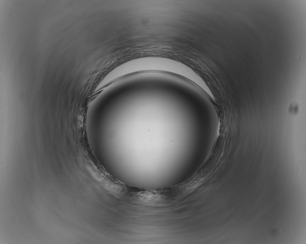 X0000112020284200908031405