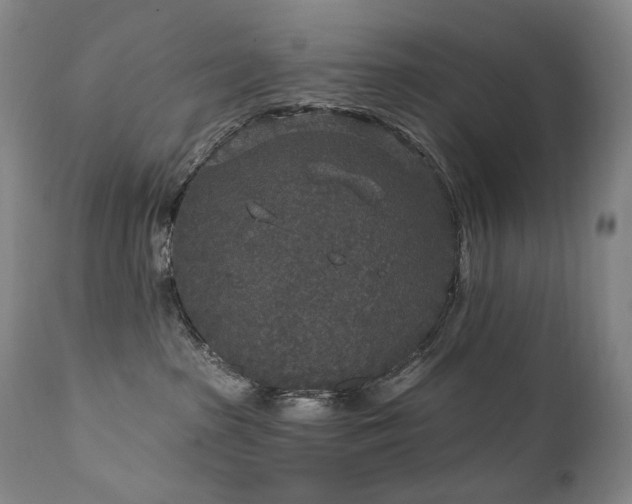 X0000112020285200908031405