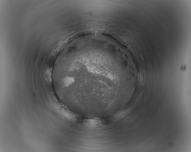 X0000112020286200908031405