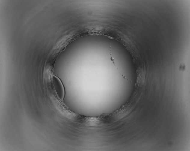 X0000112020287200908031405