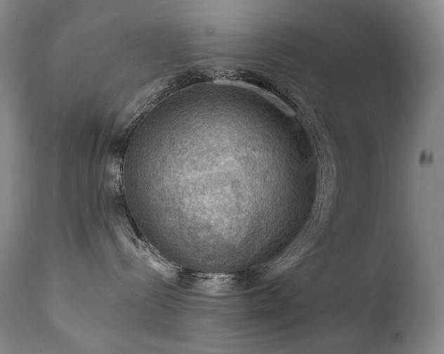 X0000112020288200908031405