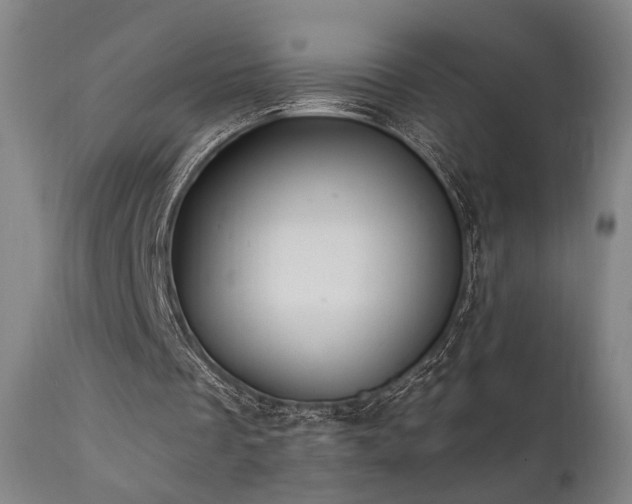 X0000112020289200908031404