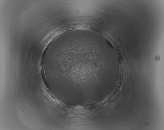 X0000112020290200908031404