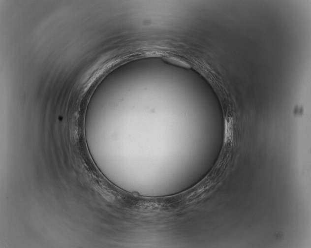 X0000112020291200908031404