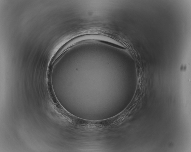 X0000112020292200908031404