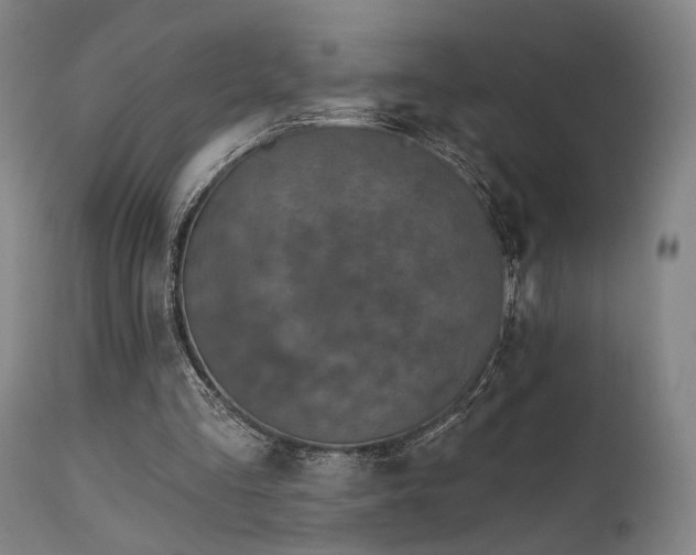 X0000112020293200908031404