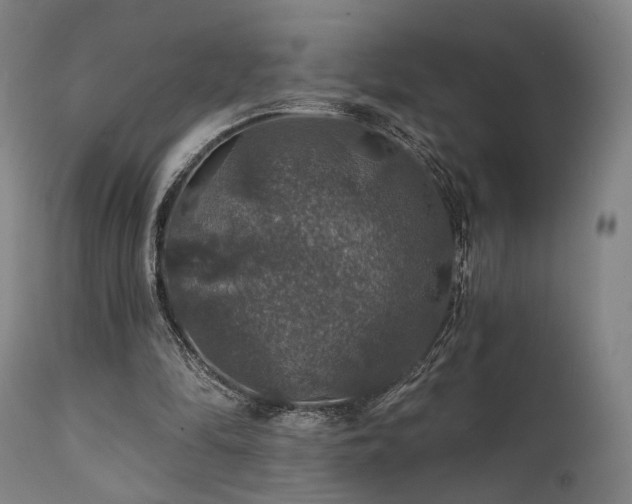 X0000112020294200908031404