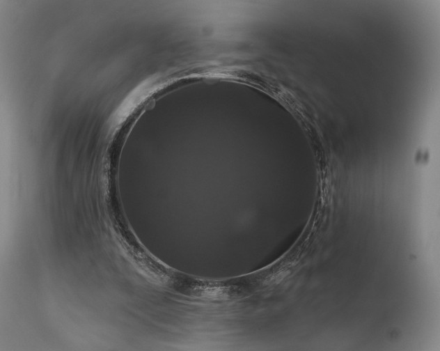 X0000112020295200908031404