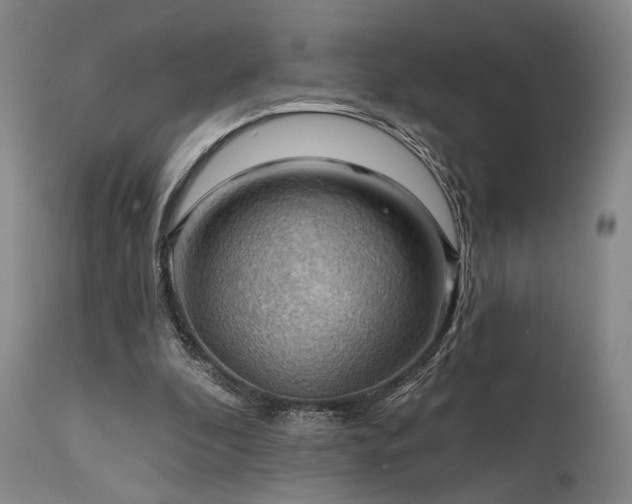 X0000112020296200908031404