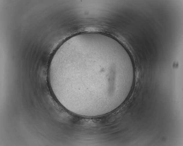 X0000112020297200908031404