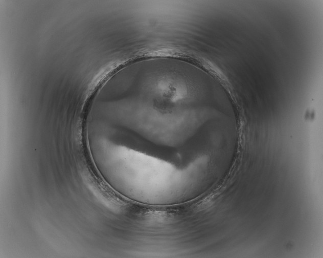 X0000112020298200908031404