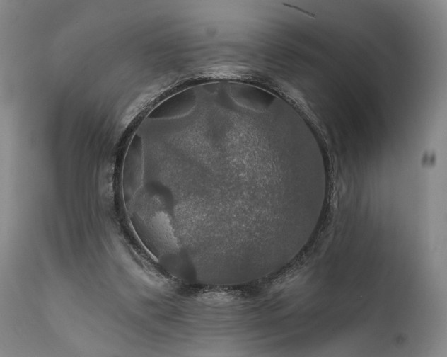 X0000112020299200908031404