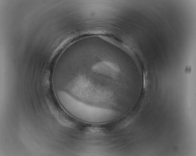 X0000112020300200908031404