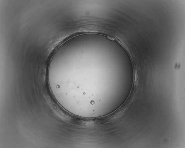 X0000112020301200908031404