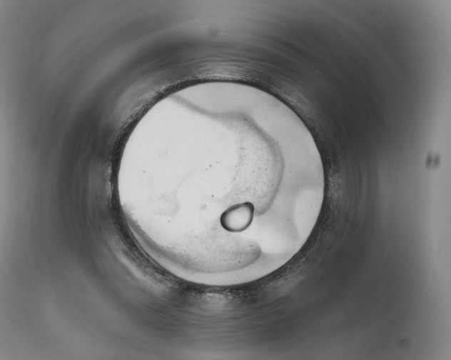 X0000112020302200908031404