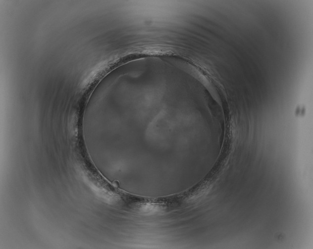 X0000112020303200908031404