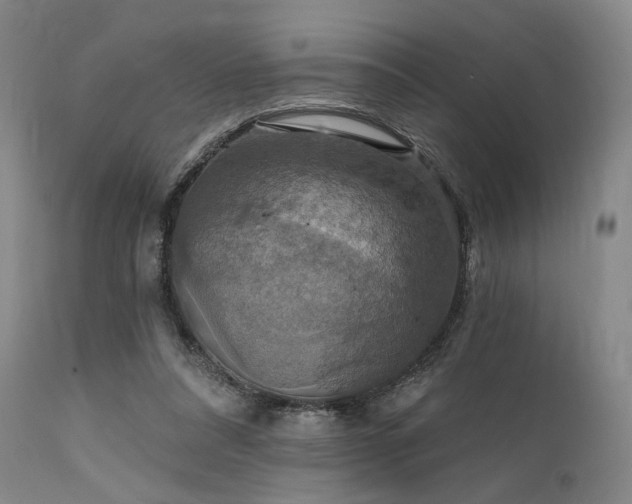 X0000112020304200908031404