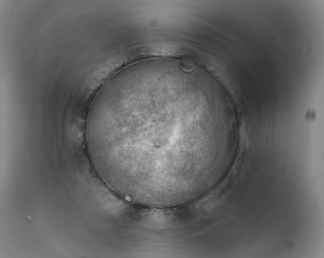 X0000112020305200908031404