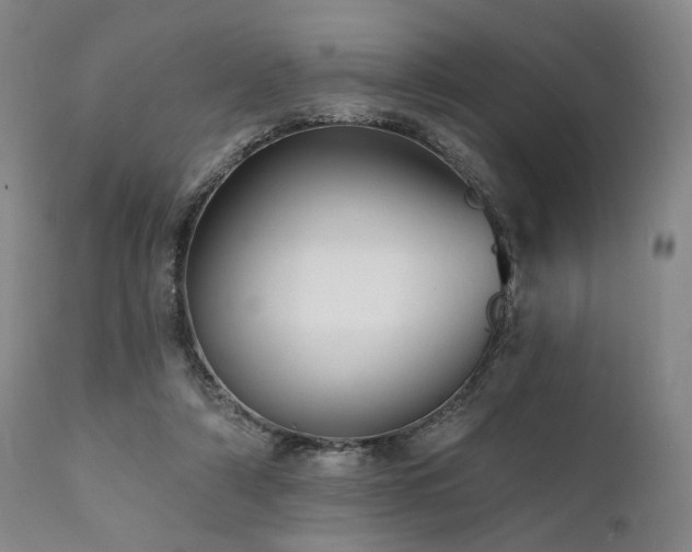 X0000112020306200908031404