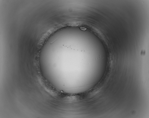 X0000112020307200908031404