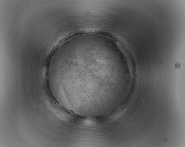 X0000112020308200908031404