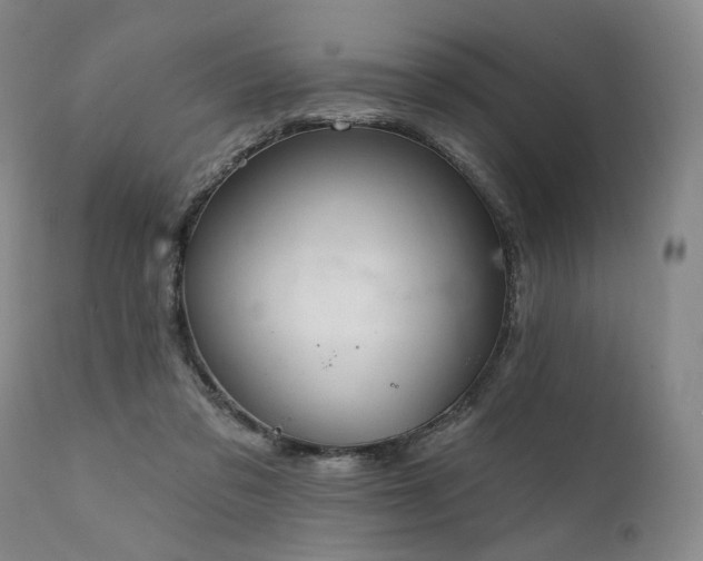 X0000112020309200908031404